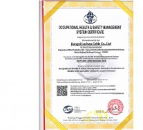 職業健康安全管理體系證書英文版